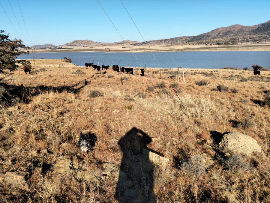 22 Bedroom Property for Sale in Tweespruit Free State